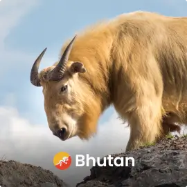 Bhutan