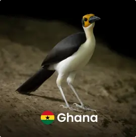 Ghana