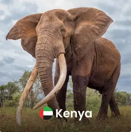 Kenya