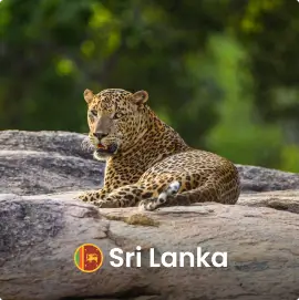 Sri Lanka