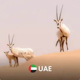 UAE